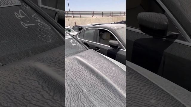 Куда привозят битые автомобили ? #автоподборщик #автоизэмиратов