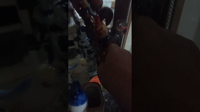 ОБЗОР МОЕГО МИНИ МУЗЕЯ ! ЧАСТЬ ПЕРВАЯ! смотреть онлайн