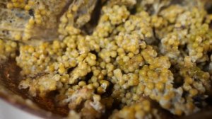 О Боже! Уникальные и редкие тайские блюда из морепродуктов | Таиландская уличная еда