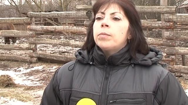 Рождение зубра в Старом Осколе смотреть онлайн