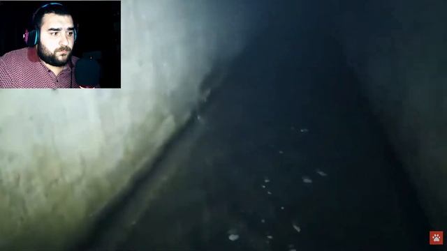 Жуткие существа заснятые на камеру|Белый кот|Dakot Реакция смотреть онлайн