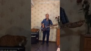А Студио - Белая река (Bass cover)