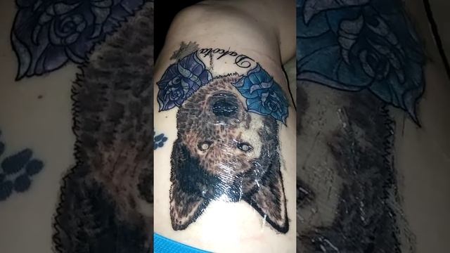 Husky Tattoo Progress Session 1