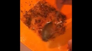 Стейки семги в аэрогриле