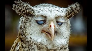 Детские анекдоты 2-я часть