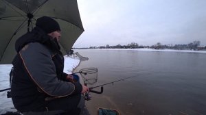 Зимний лещ на Москва реке, фидер зимой.