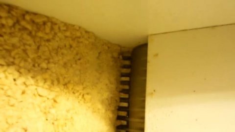 Дробилка ореховая Grind-100. Дробление арахиса.mkv