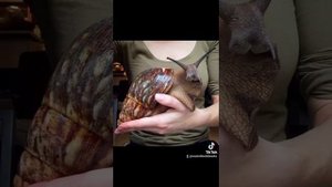 вещи, которые больше чем кажется 😱 части 5-16