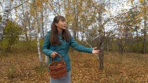 Майкова Эвелина