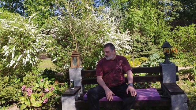 Ландшафтный дизайн своими руками, обзор "запущенного участка", планировка участка, обзор участка