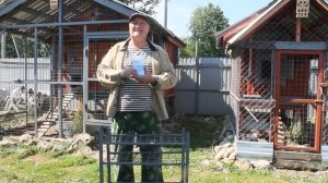 УНИКАЛЬНАЯ КОРМОВАЯ ДОБАВКА  ДЛЯ КУР НЕСУШЕК.