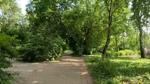 Невеста банкира перед свадьбой нашла у жениха странную шкатулку, а подобрав ключ, не поверила глаза