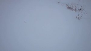 Ориентирование на местности зимой. Открытые пространства. Часть 3