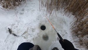 Ловля ротана. Продолжаю поиски крупного ротана. Зимняя рыбалка