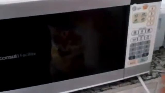 Цифровой термометр для измерения температуры пищи.mp4 смотреть онлайн