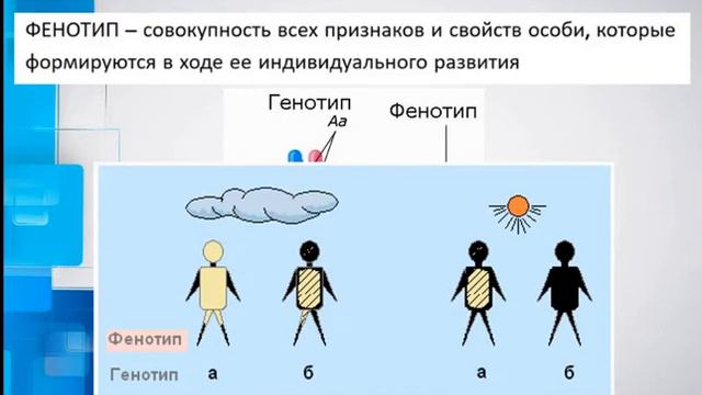 Основные понятия и методы генетики