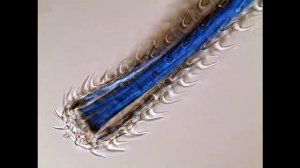 СКРЕБНИ - Колючеголовые паразиты