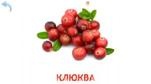 Карточки Домана. Часть 9. Ягоды