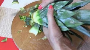 Как укоренить ананас в домашних условиях