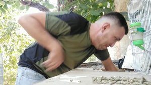 Ошибся при покупке(((. Определяем пол морских свинок!!