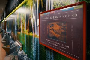 Видео приглашение на выставку "Пеликозавры и их мир" от Андрея Скворцова