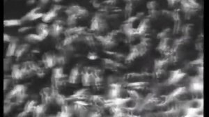 Методы содержания и разведения пчел часть 1. Таранов Г.Ф. Сделано в СССР!