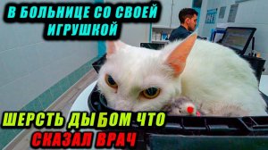 Vlog ➤ ПЛОХИЕ И ХОРОШИЕ НОВОСТИ _ СКОРО ОПЕРАЦИЯ 😬 _ 5 часть