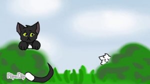 Огнезвезд не любит вафли???? / меме (наверное?)