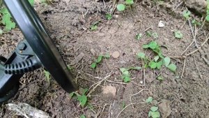 Сходил в лес за монетами с металлоискателем Minelab x-terra 705.Терка 705. Катушка моно 7.5 кгц.