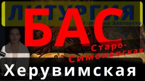 Херувимская песнь. Бас. Старо-Симоновская. Обиход, #православие #клирос