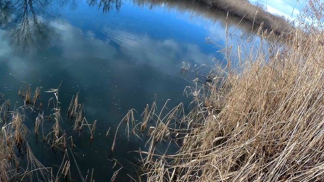 Ловля щуки на воблеры. Отчет с полей сражений №2 смотреть онлайн