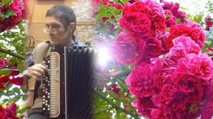 Как же красиво и виртуозно играет мужчина на баяне Голубая ночь