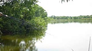 Рыбалка летом на Санчелеевских озерах