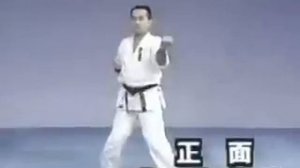 Ката "Санчин" в исполнении японского мастера