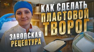 Как сделать "Пластовой творог" мастер класс / Рецептура с завода /Сыроварня Fansel Pro (Фансел Про)