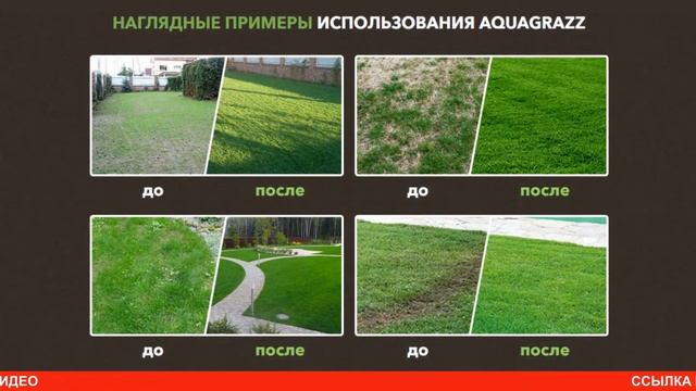 Лучший жидкий газон AquaGrazz купить, цена, отзывы. Гидропосев AquaGrazz, обзор жидкого газона