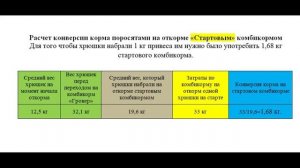 Правильное и выгодное кормление свиней: считаем конверсию корма на стартовом комбикорме