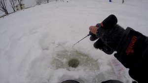 Ловля форели зимой на платнике Парус-юг