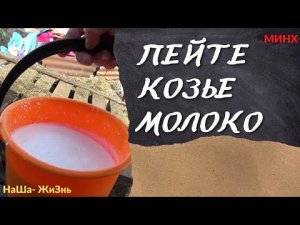 Пейте козье молоко-смотреть  на Rutube