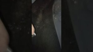 Снятие и ремонт реостата печки фокус 2