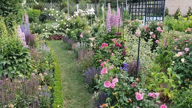 Лучшие растения - компаньоны для РОЗ . Обзор РОЗАРИЯ . Лучшие СОРТА РОЗ. смотреть онлайн