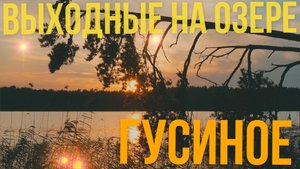 Выходные на озере Гусиное - Затерянные тропы