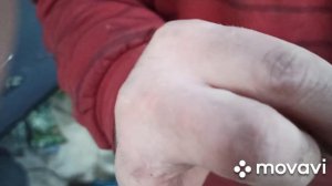 сузуки ремонт концевика багажника и регулировка прижима багажной двери