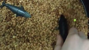 Развивающий мультик для малышей. Учим морских обитателей.