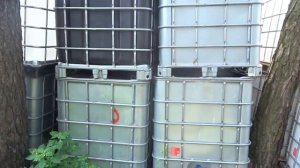 Обзор  евро кубов