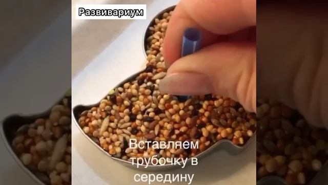 Развитый ребенок