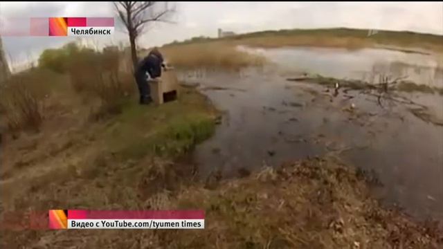 Čeljabinsk bobor смотреть онлайн