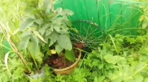 лето 2024 часть третья