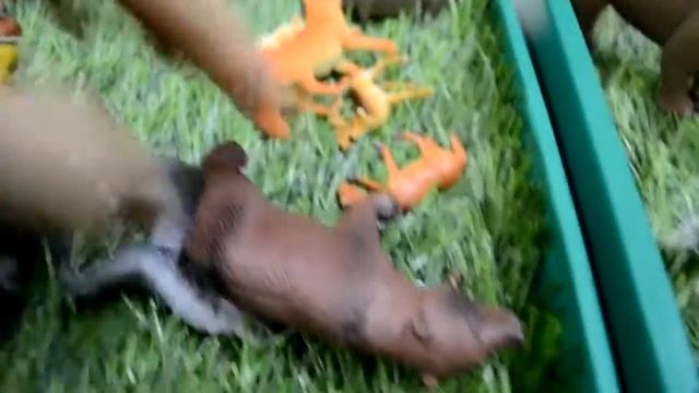 ОБЗОР! // ДИКИЕ и ДОМАШНИЕ ЖИВОТНЫЕ! смотреть онлайн