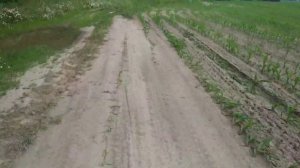 Обзор на Минск 125сс//Покатушки на Минску//Дрифт на мото Минск 125сс